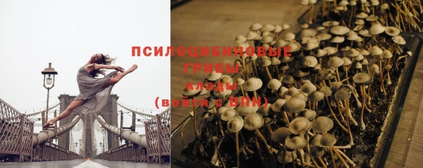 Альфа ПВП Пролетарск