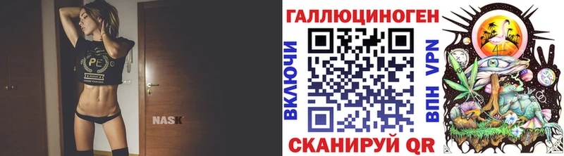 МЕГА Сорск мориарти клад Псилоцибиновые грибы мицелий